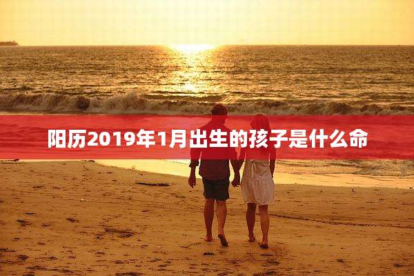 阳历2019年1月出生的孩子是什么命