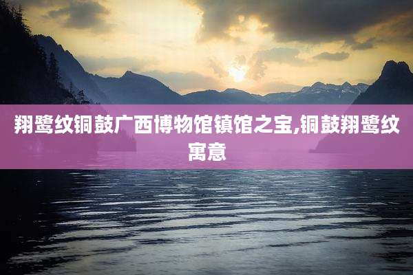翔鹭纹铜鼓广西博物馆镇馆之宝,铜鼓翔鹭纹寓意