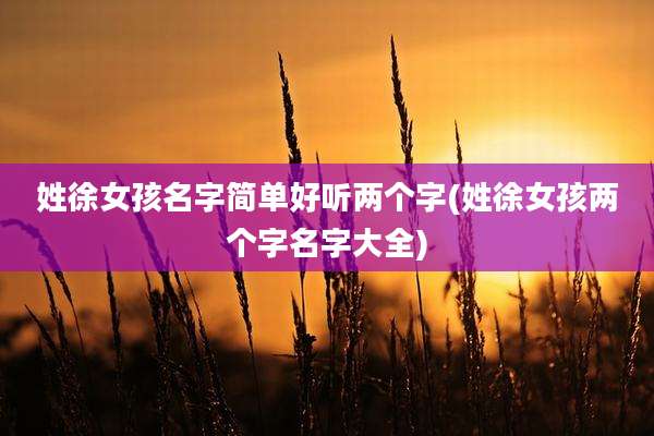 姓徐女孩名字简单好听两个字(姓徐女孩两个字名字大全)