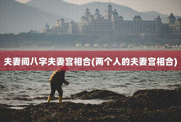 夫妻间八字夫妻宫相合(两个人的夫妻宫相合)