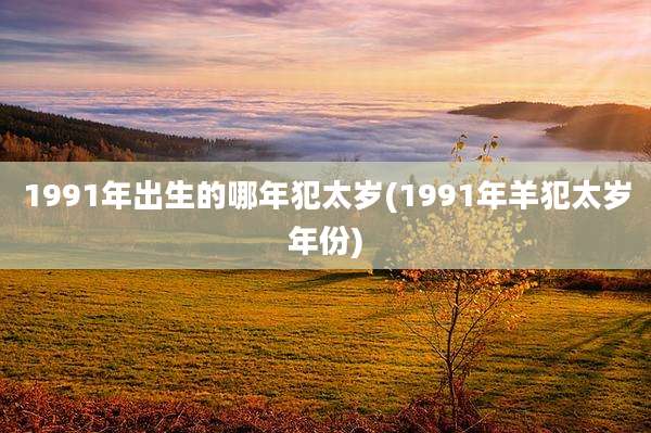 1991年出生的哪年犯太岁(1991年羊犯太岁年份)