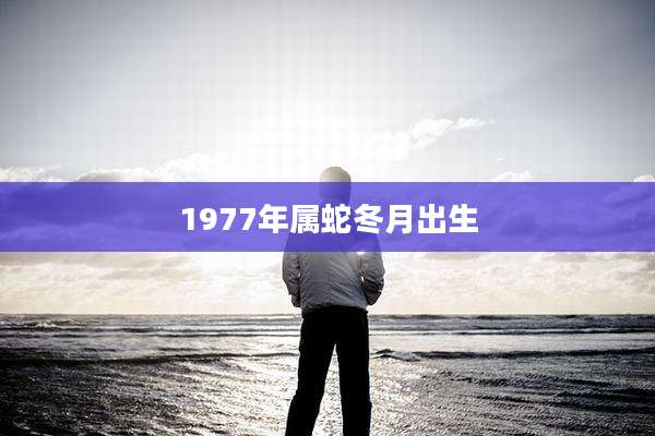 1977年属蛇冬月出生