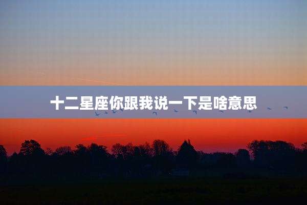 十二星座你跟我说一下是啥意思