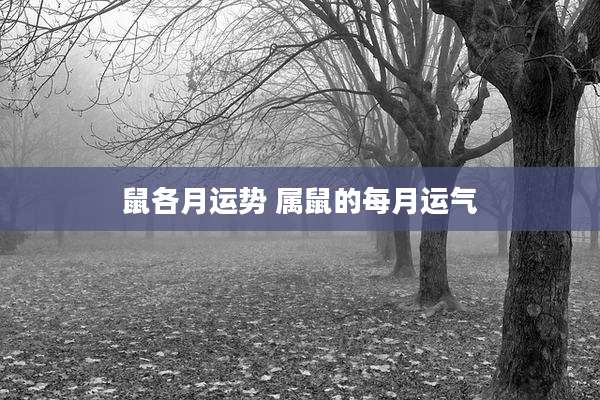 鼠各月运势 属鼠的每月运气