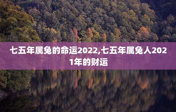 七五年属兔的命运2022,七五年属兔人2021年的财运