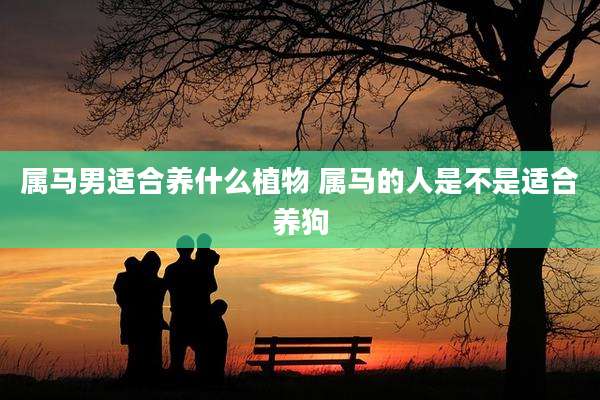 属马男适合养什么植物 属马的人是不是适合养狗