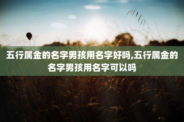 五行属金的名字男孩用名字好吗,五行属金的名字男孩用名字可以吗