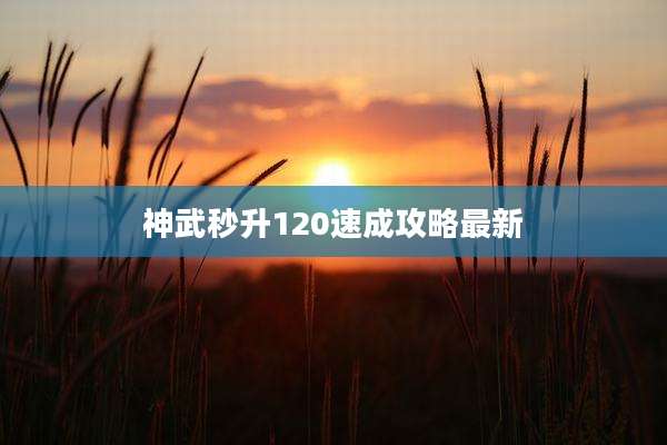 神武秒升120速成攻略最新