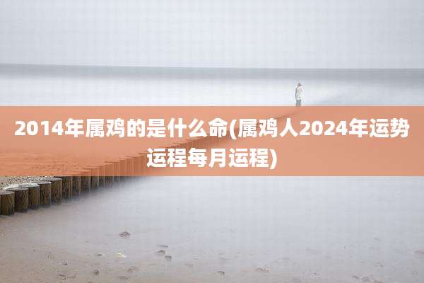 2014年属鸡的是什么命(属鸡人2024年运势运程每月运程)