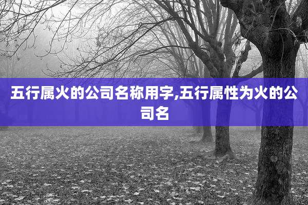 五行属火的公司名称用字,五行属性为火的公司名