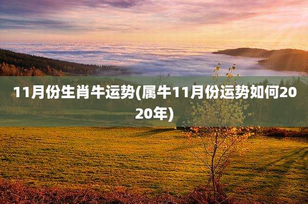 11月份生肖牛运势(属牛11月份运势如何2020年)