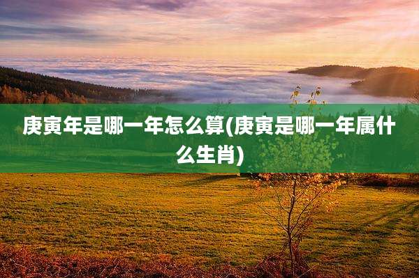庚寅年是哪一年怎么算(庚寅是哪一年属什么生肖)