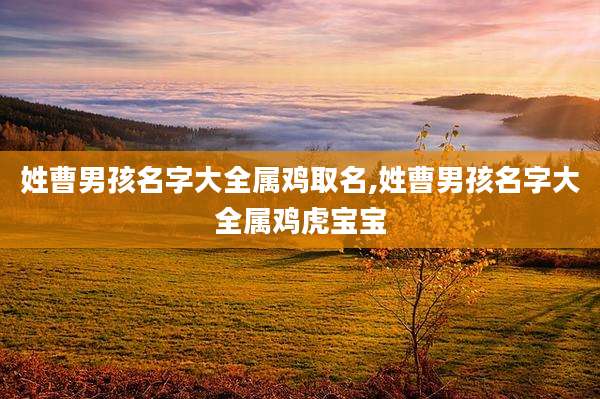 姓曹男孩名字大全属鸡取名,姓曹男孩名字大全属鸡虎宝宝