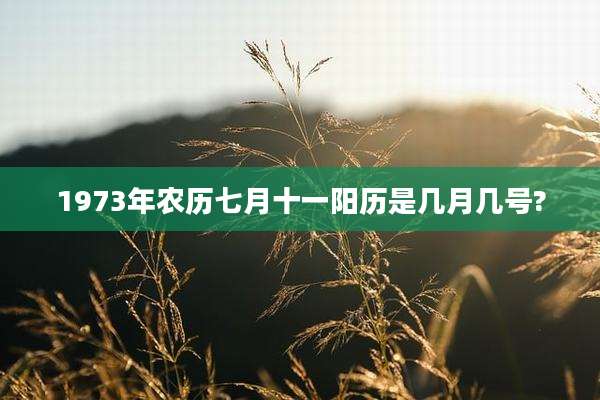 1973年农历七月十一阳历是几月几号?