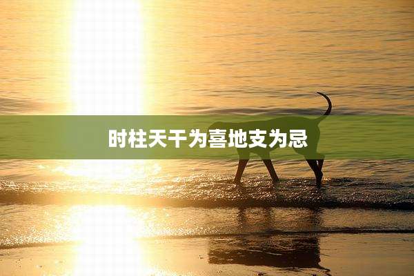 时柱天干为喜地支为忌