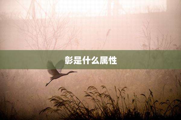彰是什么属性