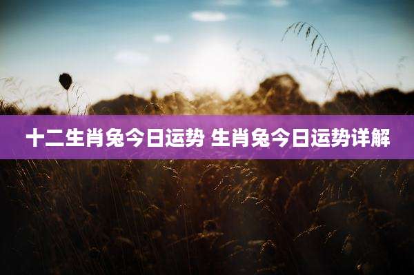 十二生肖兔今日运势 生肖兔今日运势详解