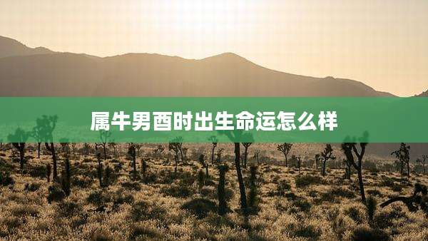 属牛男酉时出生命运怎么样