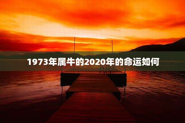 1973年属牛的2020年的命运如何