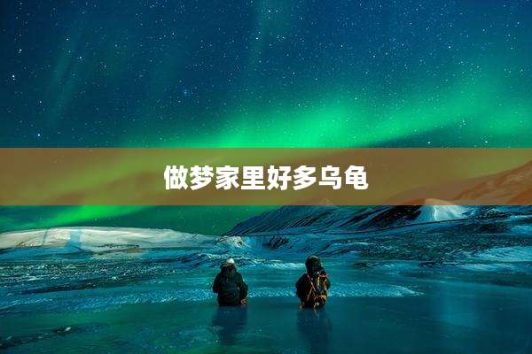 做梦家里好多乌龟