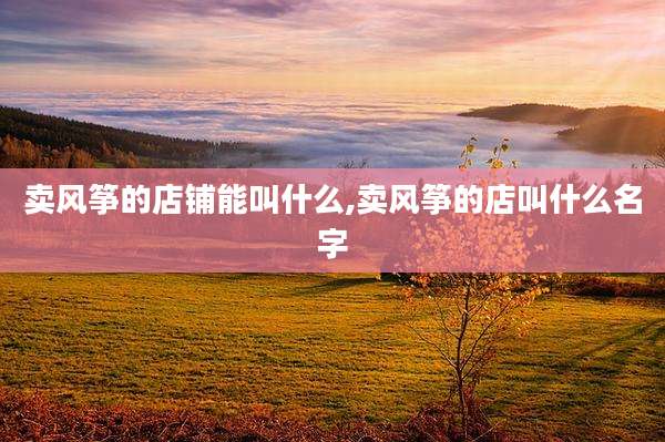 卖风筝的店铺能叫什么,卖风筝的店叫什么名字