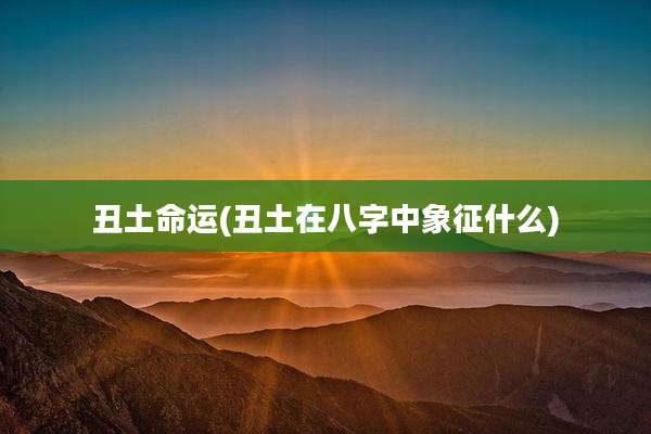 丑土命运(丑土在八字中象征什么)