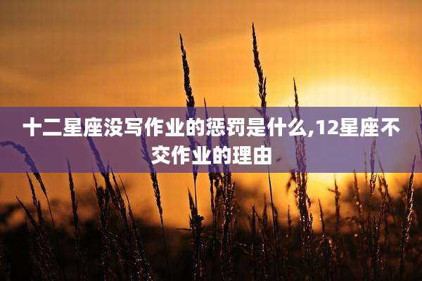 十二星座没写作业的惩罚是什么,12星座不交作业的理由