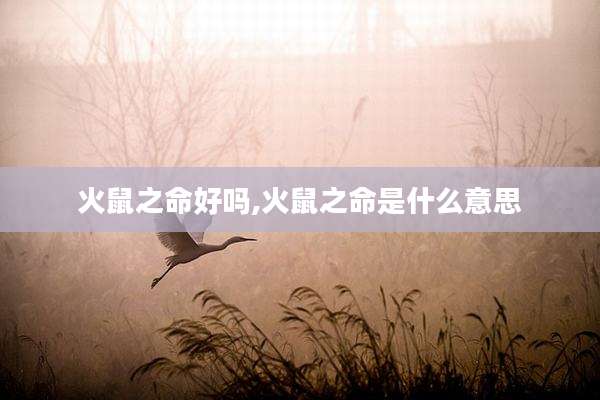 火鼠之命好吗,火鼠之命是什么意思