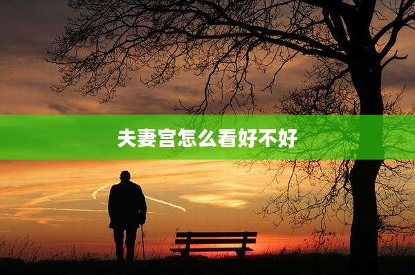 夫妻宫怎么看好不好