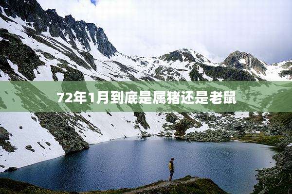 72年1月到底是属猪还是老鼠