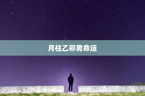 月柱乙卯男命运