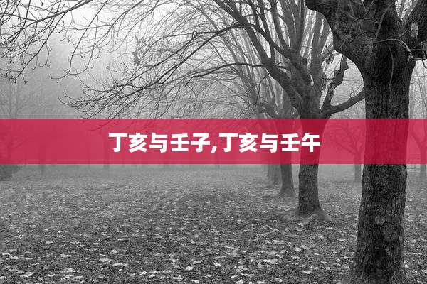 丁亥与壬子,丁亥与壬午