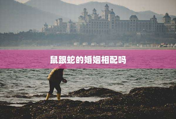 鼠跟蛇的婚姻相配吗