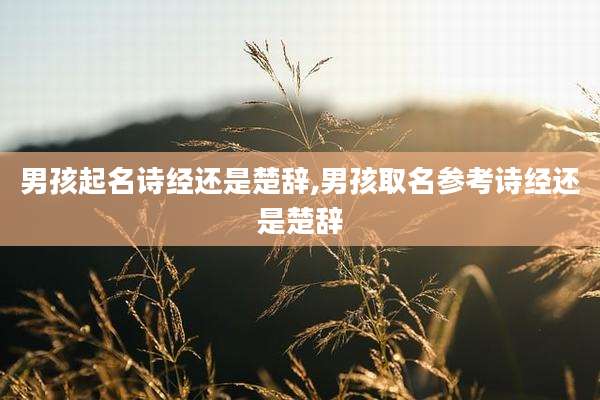 男孩起名诗经还是楚辞,男孩取名参考诗经还是楚辞