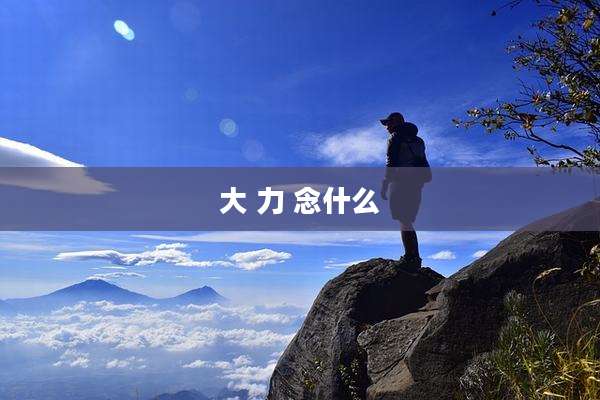 大 力 念什么