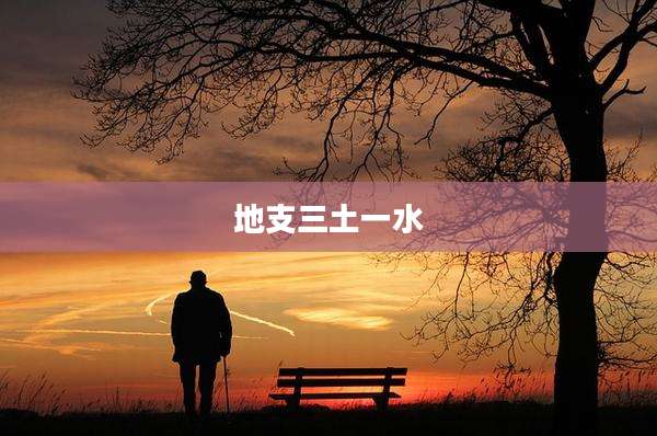 地支三土一水