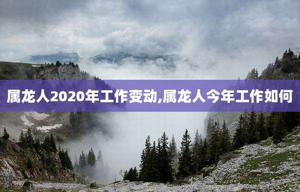 属龙人2020年工作变动,属龙人今年工作如何