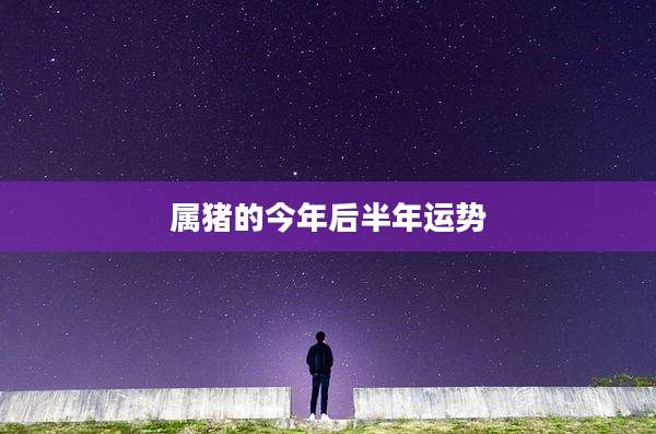 属猪的今年后半年运势