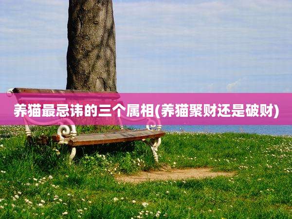 养猫最忌讳的三个属相(养猫聚财还是破财)