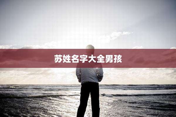 苏姓名字大全男孩