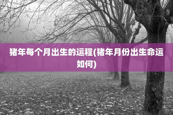 猪年每个月出生的运程(猪年月份出生命运如何)
