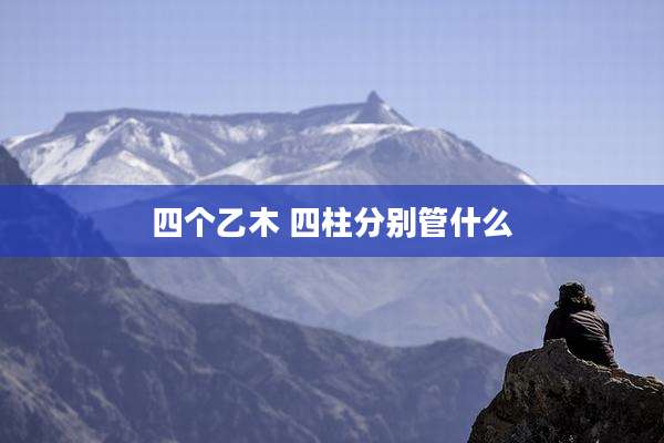 四个乙木 四柱分别管什么