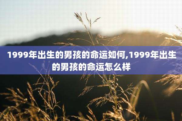 1999年出生的男孩的命运如何,1999年出生的男孩的命运怎么样