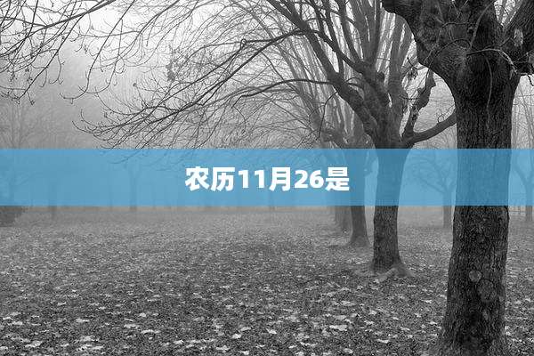 农历11月26是