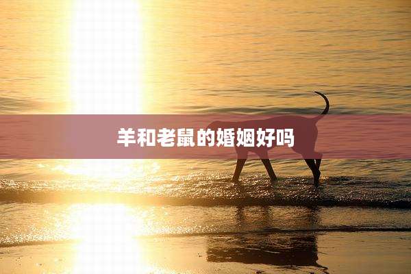 羊和老鼠的婚姻好吗