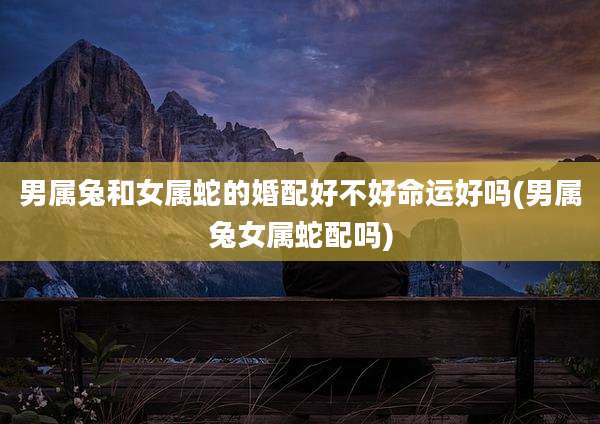 男属兔和女属蛇的婚配好不好命运好吗(男属兔女属蛇配吗)