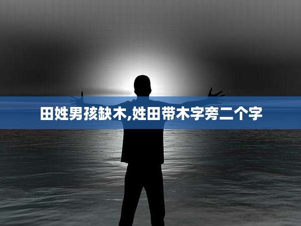 田姓男孩缺木,姓田带木字旁二个字