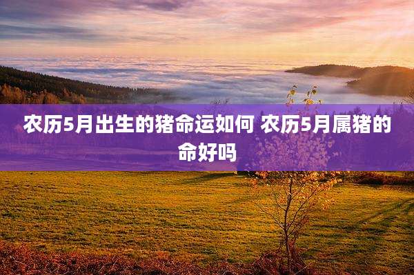 农历5月出生的猪命运如何 农历5月属猪的命好吗
