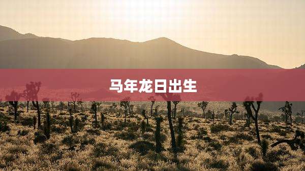 马年龙日出生