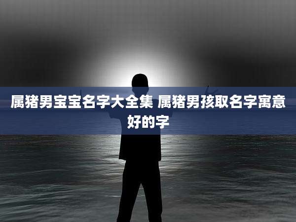 属猪男宝宝名字大全集 属猪男孩取名字寓意好的字